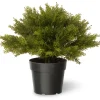 Discount 15" Artificial Globe Juniper Potted Plants|Topiaries & Shrubs