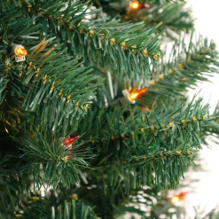 Best 6 ft. Acacia Tree with Multicolor Lights Pre-Lit|Full