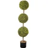 Clearance 4 ft. Boxwood Three Ball Potted Topiary in a Black Pot Base Topiaries & Shrubs