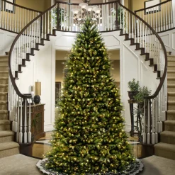 14 ft. Dunhill Fir Tree Full|Unlit