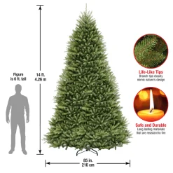 14 ft. Dunhill Fir Tree Full|Unlit