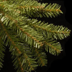Hot 6 ft. Dunhill Fir Tree Full|Unlit