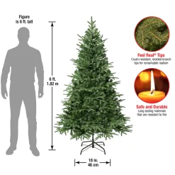 Outlet 6 ft. Duxbury Feel Real Tree Full|Unlit