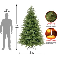 Best 7.5 ft. Fraser Grande Tree Full|Unlit