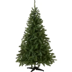Best 6 ft. Kincaid Spruce Tree Full|Unlit