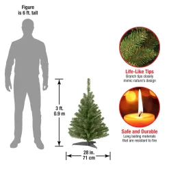 Outlet 3 ft. Kincaid Spruce Tree Full|Unlit