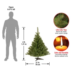 Sale 4 ft. Kincaid Spruce Tree Unlit|Under 5 Feet