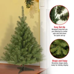 Sale 4 ft. Kincaid Spruce Tree Unlit|Under 5 Feet