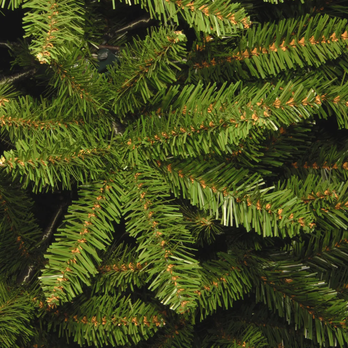 Clearance 6 ft. Kingswood Fir Pencil Tree Pencil Slim|Unlit