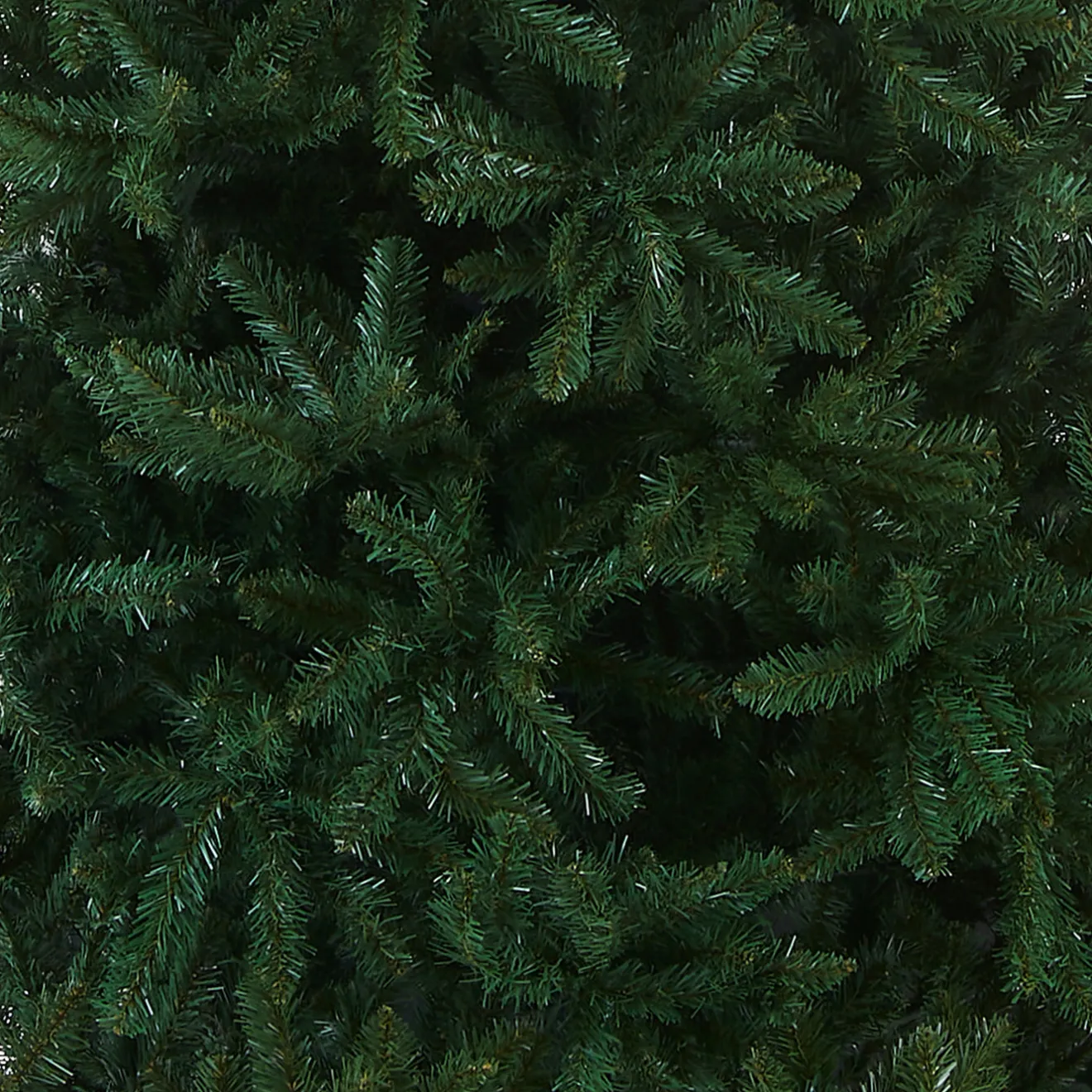 New 12 ft. Kingswood Fir Pencil Slim Tree Pencil Slim|Unlit