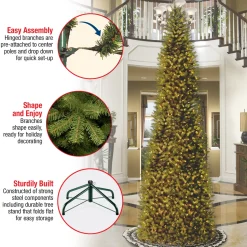 Outlet 10 ft. Kingswood Fir Pencil Slim Tree Pencil Slim|Unlit