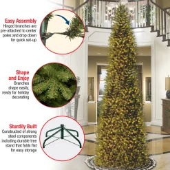 Outlet 10 ft. Kingswood Fir Pencil Slim Tree Pencil Slim|Unlit