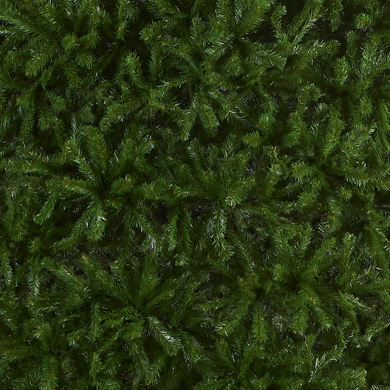 Online 16 ft. North Valley Spruce Tree Full|Unlit