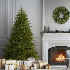 Clearance 7.5 ft. Norway Fir Tree Full|7 To 7.5 Feet