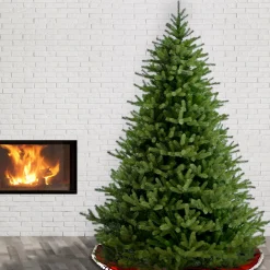 Clearance 7.5 ft. Norway Fir Tree Full|7 To 7.5 Feet