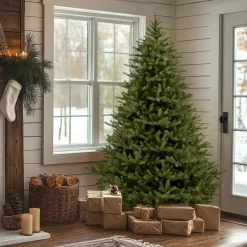 Online 7 ft. Norway Fir Tree Full|Unlit