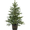 New 4 ft. Norwegian Spruce Entrance Tree with Clear Lights Entrance|Pre-Lit