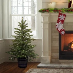 New 4 ft. Norwegian Spruce Entrance Tree with Clear Lights Entrance|Pre-Lit