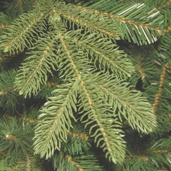 New 4 ft. Norwegian Spruce Entrance Tree with Clear Lights Entrance|Pre-Lit