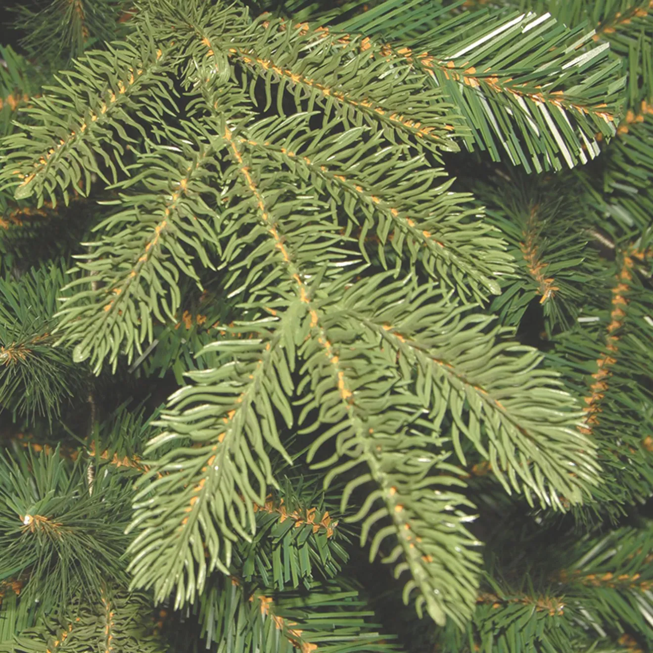 New 4 ft. Norwegian Spruce Entrance Tree with Clear Lights Entrance|Pre-Lit