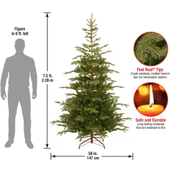 New 7.5 ft. Norwegian Spruce Tree Full|Unlit