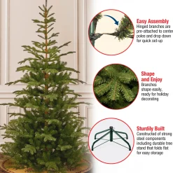 New 7.5 ft. Norwegian Spruce Tree Full|Unlit