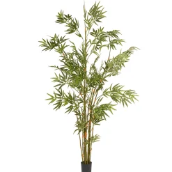 New 6 ft. Potted Japanese Bamboo Tree Potted Plants