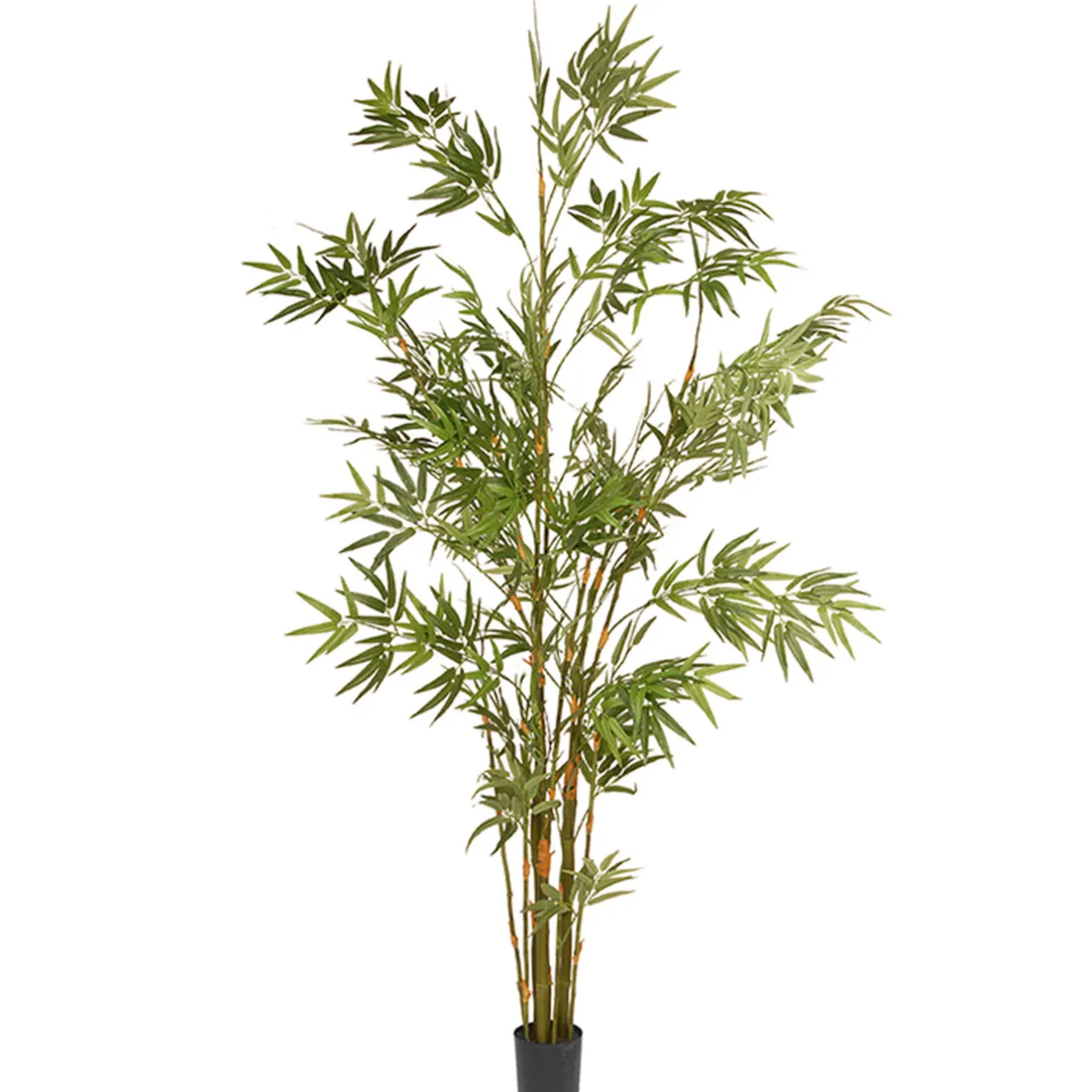 New 6 ft. Potted Japanese Bamboo Tree Potted Plants