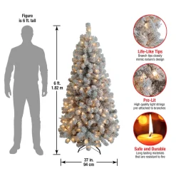 New 6 ft. Pre-Lit Acacia Flocked Tree with Clear Lights Pre-Lit|Full