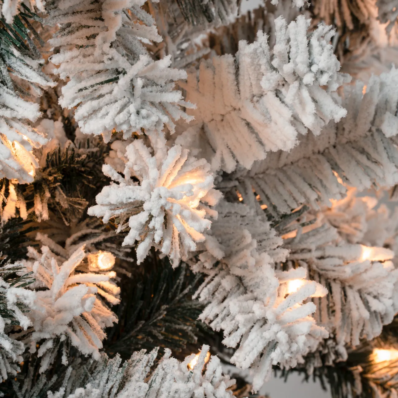 Best 6 ft. Pre-Lit Acacia Medium Flocked Tree with Clear Lights Medium|Pre-Lit