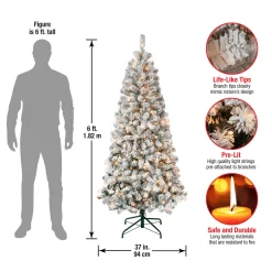 Discount 6 ft. Pre-Lit Acacia Slim Tree with Clear Lights Full|Pre-Lit