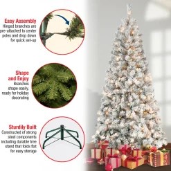 Discount 6 ft. Pre-Lit Acacia Slim Tree with Clear Lights Full|Pre-Lit