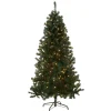 Outlet 6 ft. Pre-Lit Acacia Tree with Clear Lights Pre-Lit|Full