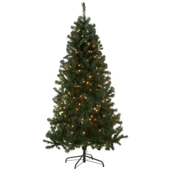 Outlet 6 ft. Pre-Lit Acacia Tree with Clear Lights Pre-Lit|Full