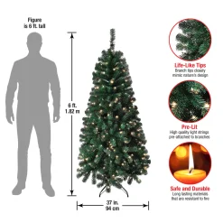 Outlet 6 ft. Pre-Lit Acacia Tree with Clear Lights Pre-Lit|Full