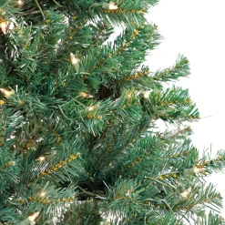 Outlet 6 ft. Pre-Lit Acacia Tree with Clear Lights Pre-Lit|Full