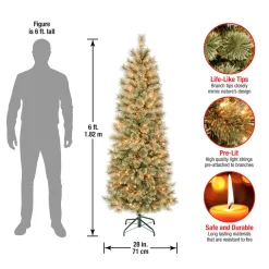 Online 6 ft. Pre-Lit Arcadia Pine Cashmere Slim Tree with Clear Lights Slim|Pre-Lit