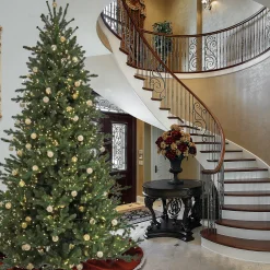 Clearance 10 ft. Pre-Lit Aspen Pine Hinged Tree with Warm White LED Light Slim|Pre-Lit