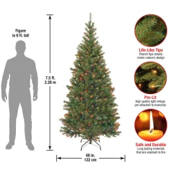Online 7.5 ft. Pre-Lit Aspen Spruce Slim Tree with Multicolor Lights Slim|Pre-Lit