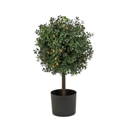 Hot 2 ft. Pre-Lit Boxwood Single Ball Topiary in Black Nursery Pot with Clear Lights Topiaries & Shrubs
