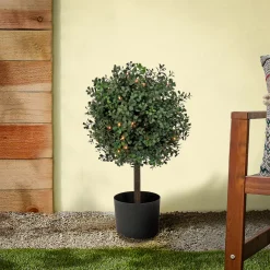 Hot 2 ft. Pre-Lit Boxwood Single Ball Topiary in Black Nursery Pot with Clear Lights Topiaries & Shrubs