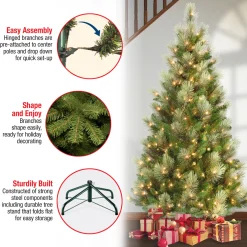 Clearance 6 ft. Pre-Lit Charleston Pine Slim Tree with Clear Lights Slim|Pre-Lit