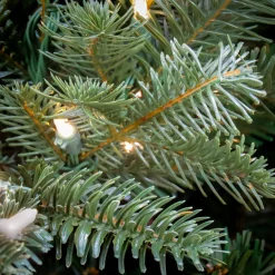 Sale 10 ft. Pre-Lit Douglas Fir Hinged Tree with Warm White LED Lights Pre-Lit|Full