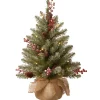 Discount 2 ft. Pre-Lit Dunhill Fir Tree with LED Lights Tabletop|Pre-Lit