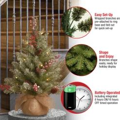 Discount 2 ft. Pre-Lit Dunhill Fir Tree with LED Lights Tabletop|Pre-Lit