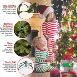 Online 9 ft. Pre-Lit Dunhill Fir Tree with PowerConnect Clear Lights Full|Pre-Lit