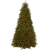 Outlet 10 ft. Pre-Lit Dunhill Fir Tree with Clear Lights Full|Pre-Lit
