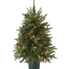 3 ft. Pre-Lit Everyday Collection Tree with Clear Lights Entrance|Pre-Lit