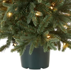 3 ft. Pre-Lit Everyday Collection Tree with Clear Lights Entrance|Pre-Lit