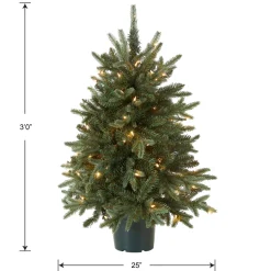 3 ft. Pre-Lit Everyday Collection Tree with Clear Lights Entrance|Pre-Lit